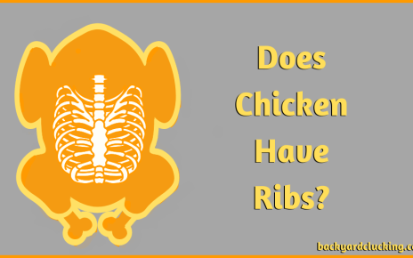 Does Chicken Have Ribs? Truth About Chicken Ribs