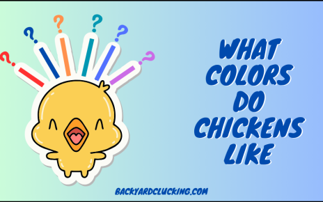 What Colors Do Chickens Like? A Biological Analysis