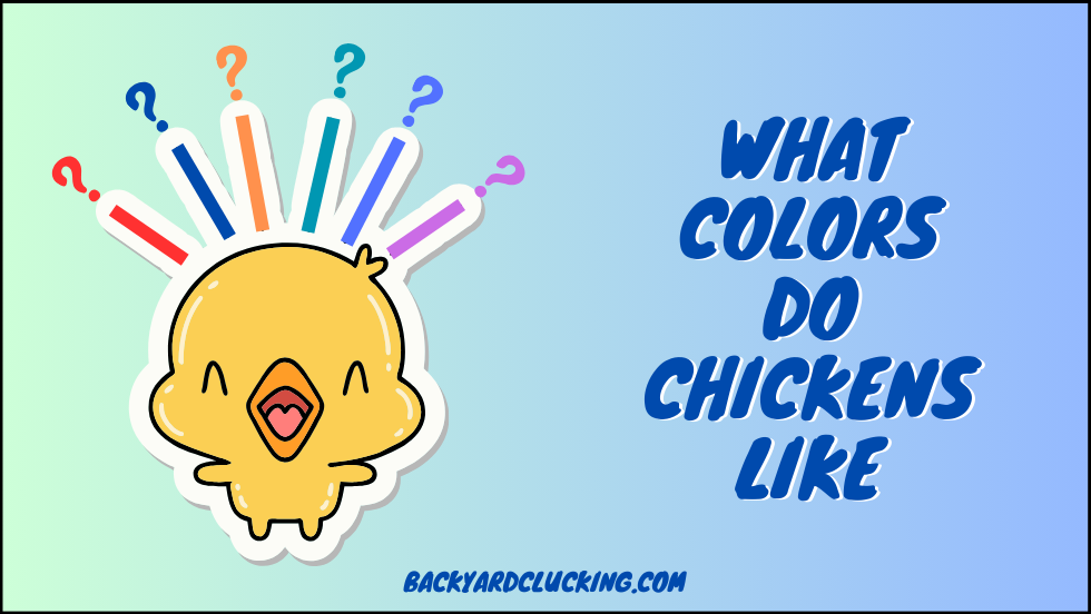 What Colors Do Chickens Like? A Biological Analysis